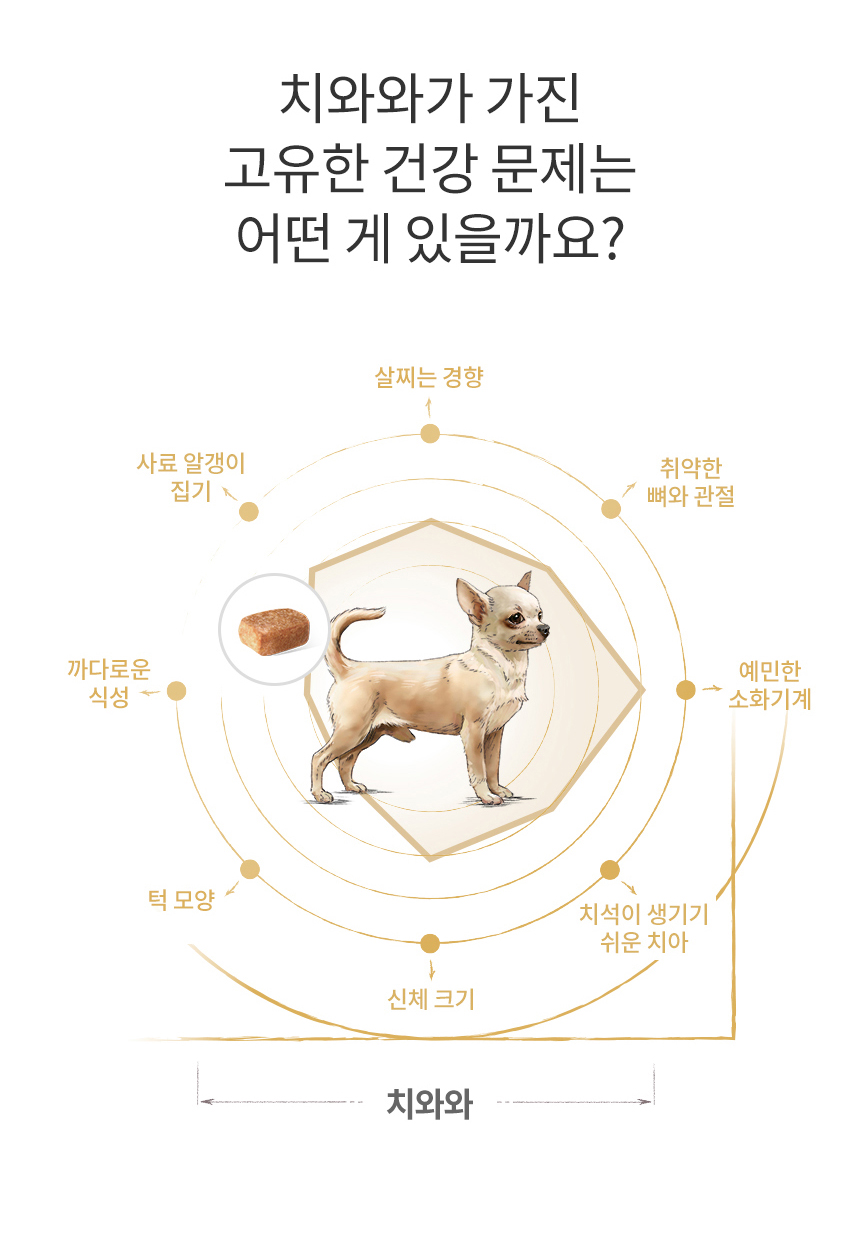 [유통기한 2026.04.29] 로얄캐닌 독 치와와 퍼피, 500g, 1개