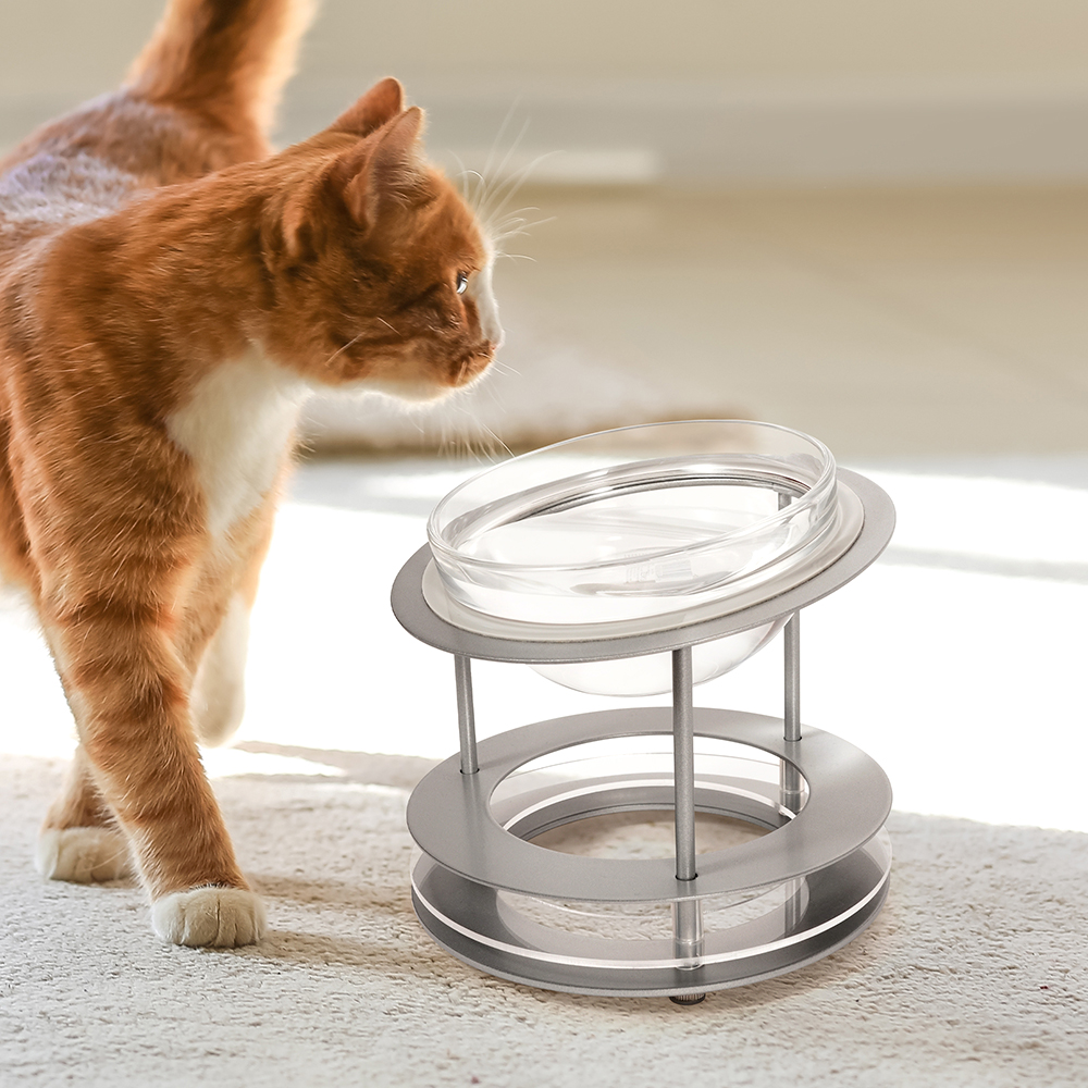 펫코본 고양이밥그릇 물그릇 강아지 1구 투명 유리 식기 수반