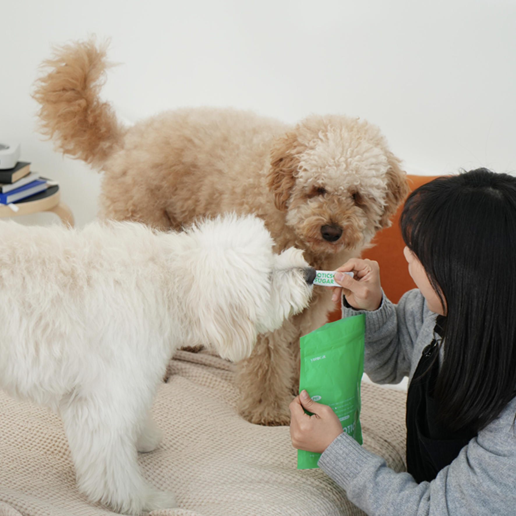 요로캣 펫전용 혈당관리 유산균 30개입 강아지영양제 당뇨 강아지유산균 - 상세 이미지 4