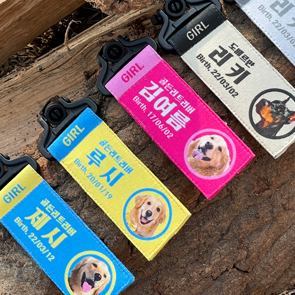 강아지네임택 대형견인식표 이름표 강아지명찰 리틀아미고 - 상품 이미지