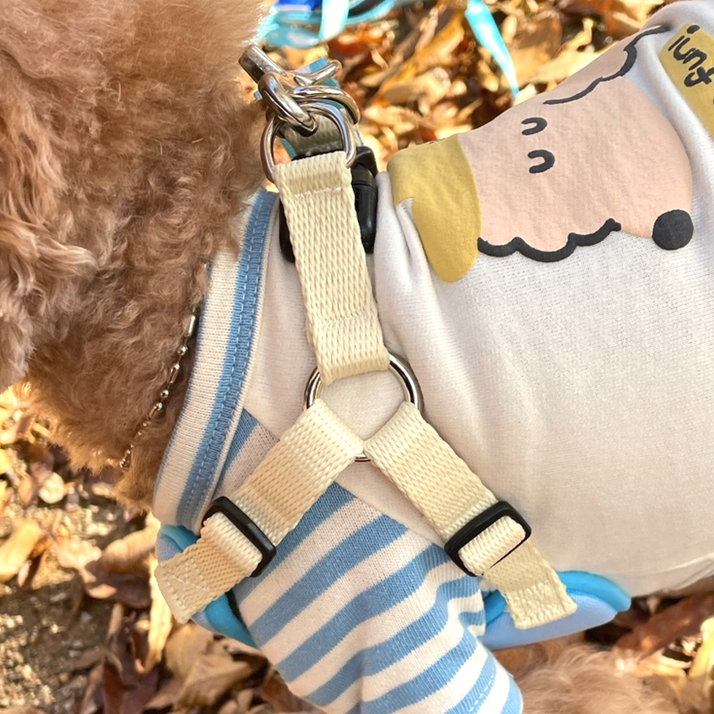 귀여운 강아지 하네스+리드줄 산책 세트 소형견 편안한 반려견 몸통 가슴줄 산리오 시나모롤