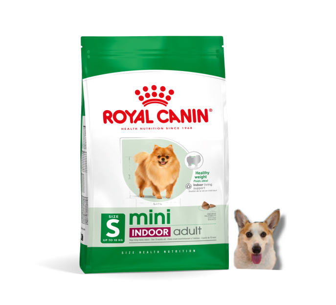 로얄캐닌 강아지사료 미니인도어 어덜트 1.5kg - 상품 이미지