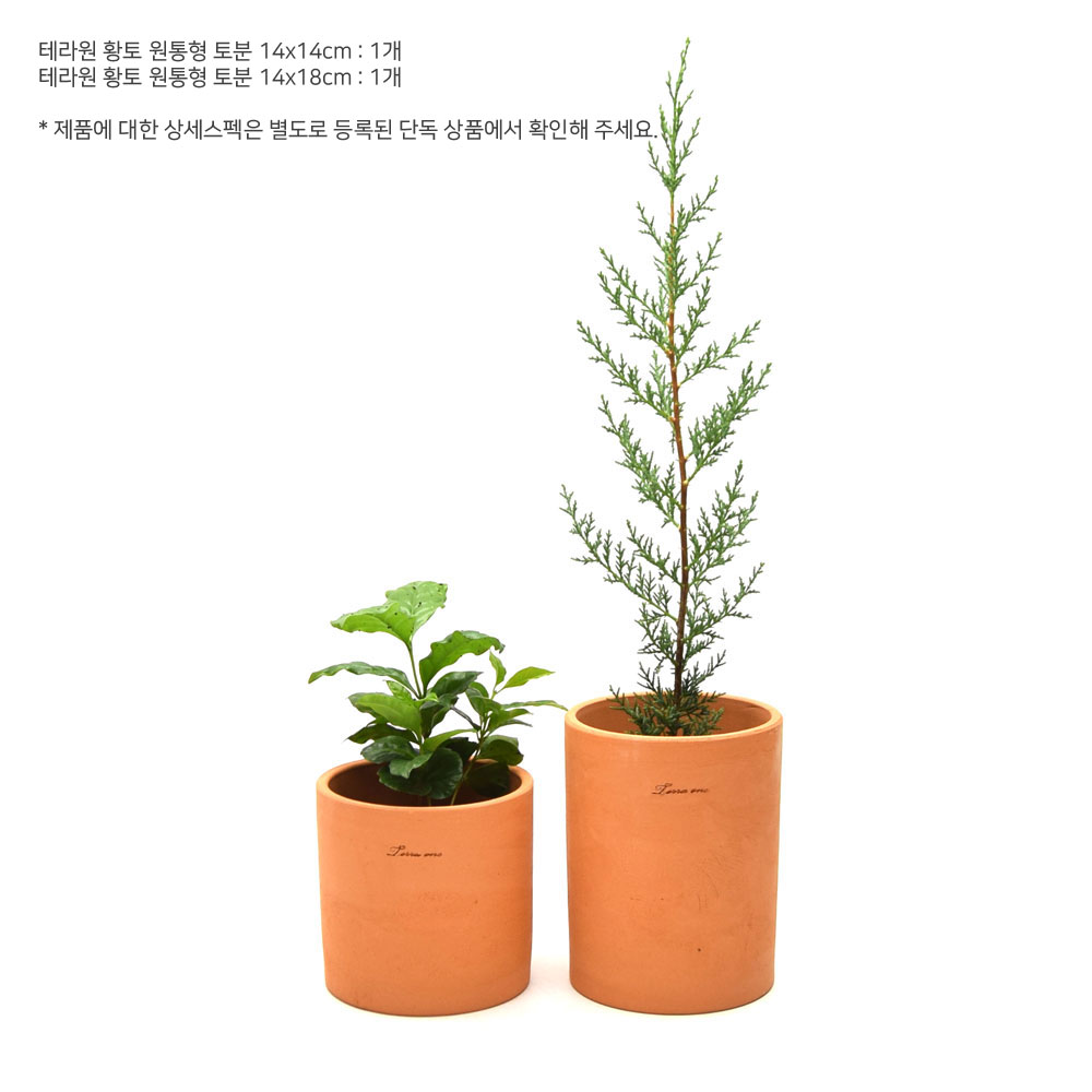 테라원 패밀리팩 토분 8개 셋트 - 상세 이미지 4