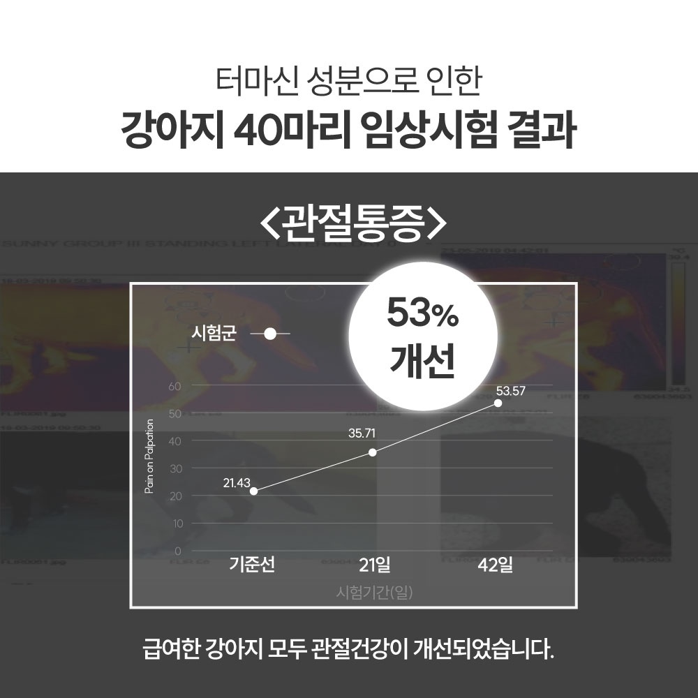 강아지 영양제 관절 터마신 달리 메이드인랩 100개입, 4개