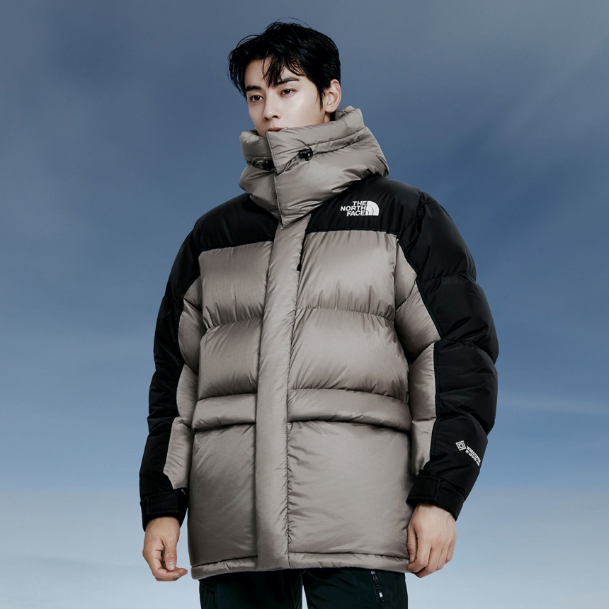 노스페이스 남자 1994힘 다운 파카 NJ1DR78A NJ1DR78