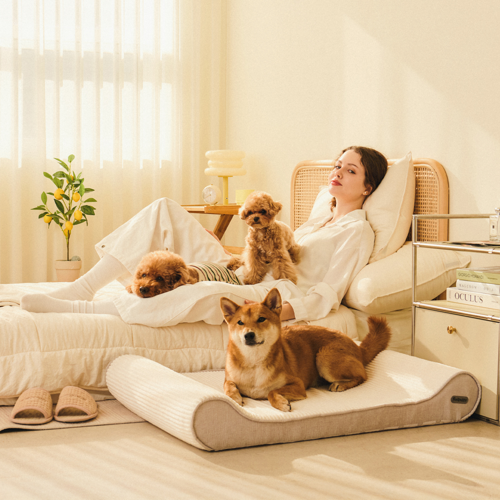 개과천선 로이 애견 강아지 방석 쿠션 쇼파 대형견 침대 고양이 용품 애완견