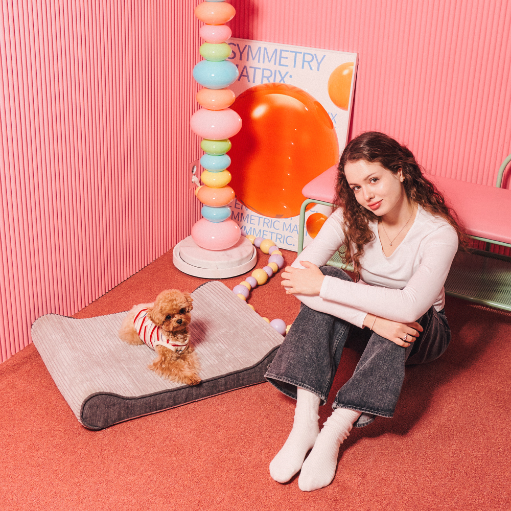 개과천선 로이 애견 강아지 방석 쿠션 쇼파 대형견 침대 고양이 용품 애완견