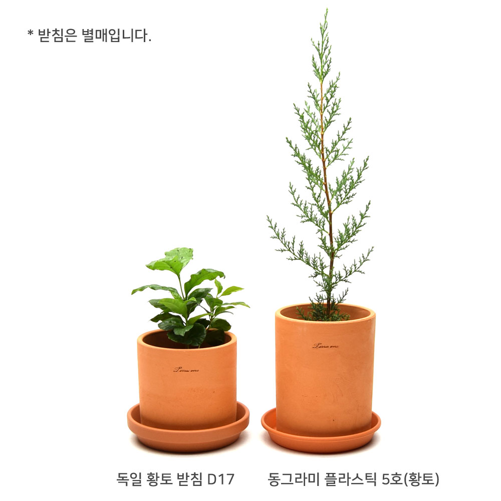 테라원 국산 원통형 14x14cm 황토 토분 물구멍o 황원통 - 상세 이미지 4