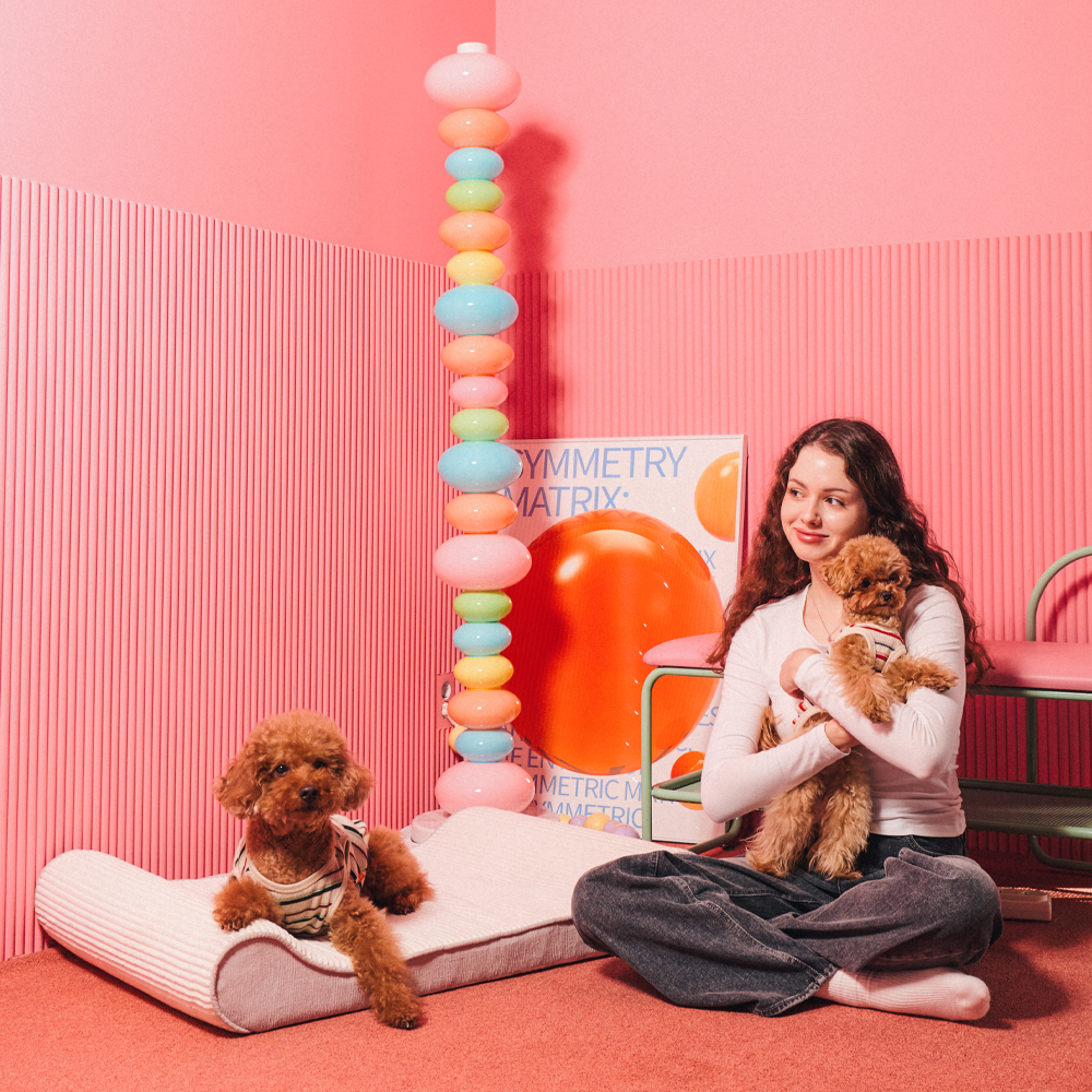 개과천선 로이 애견 강아지 방석 쿠션 쇼파 대형견 침대 고양이 용품 애완견