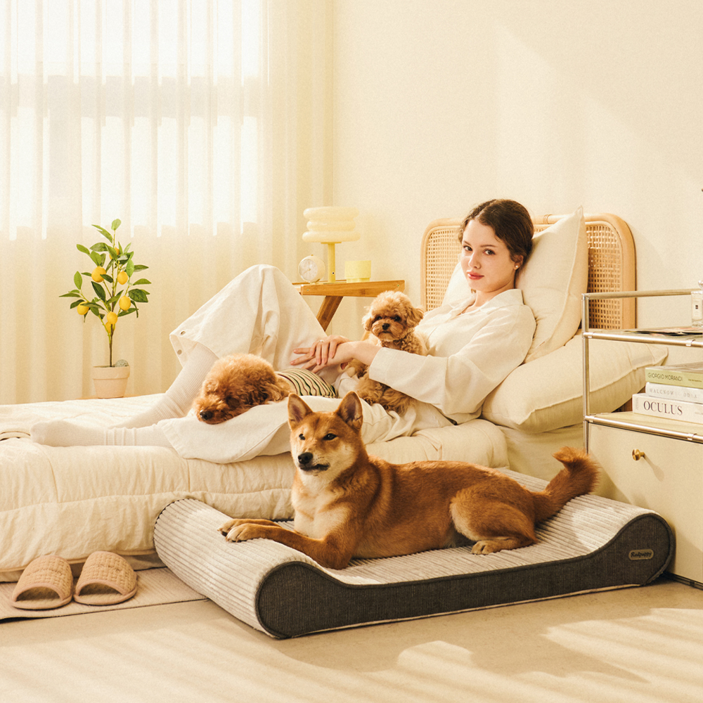 개과천선 로이 애견 강아지 방석 쿠션 쇼파 대형견 침대 고양이 용품 애완견