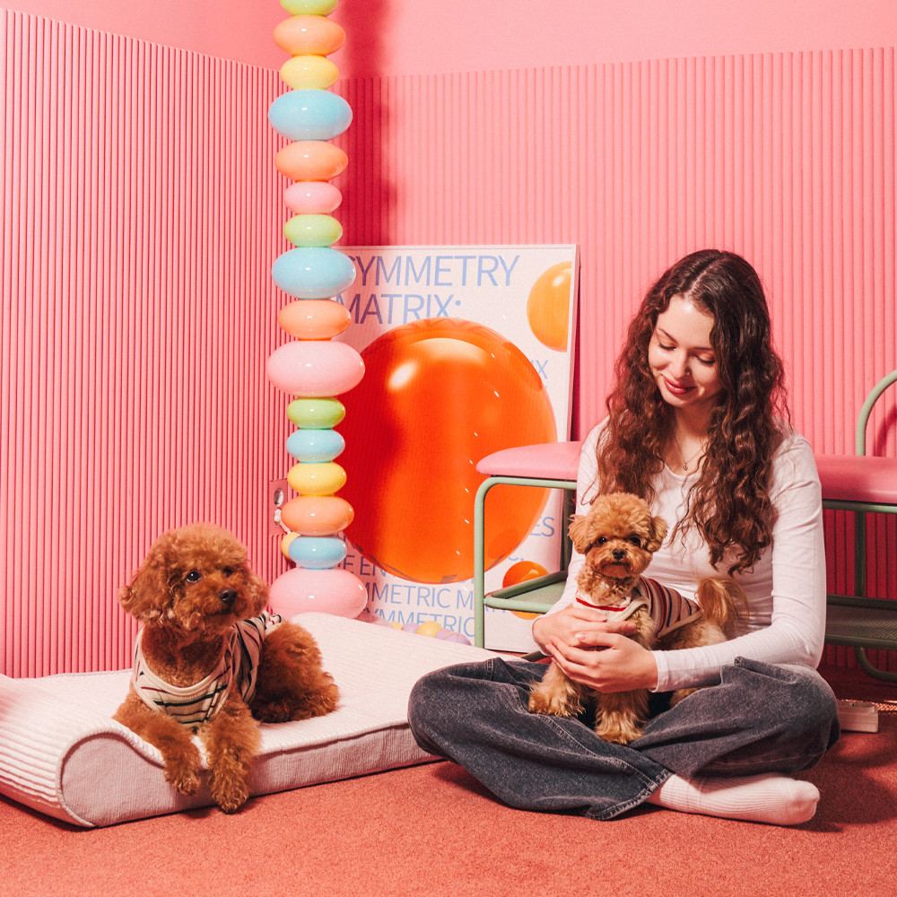 개과천선 로이 애견 강아지 방석 쿠션 쇼파 대형견 침대 고양이 용품 애완견