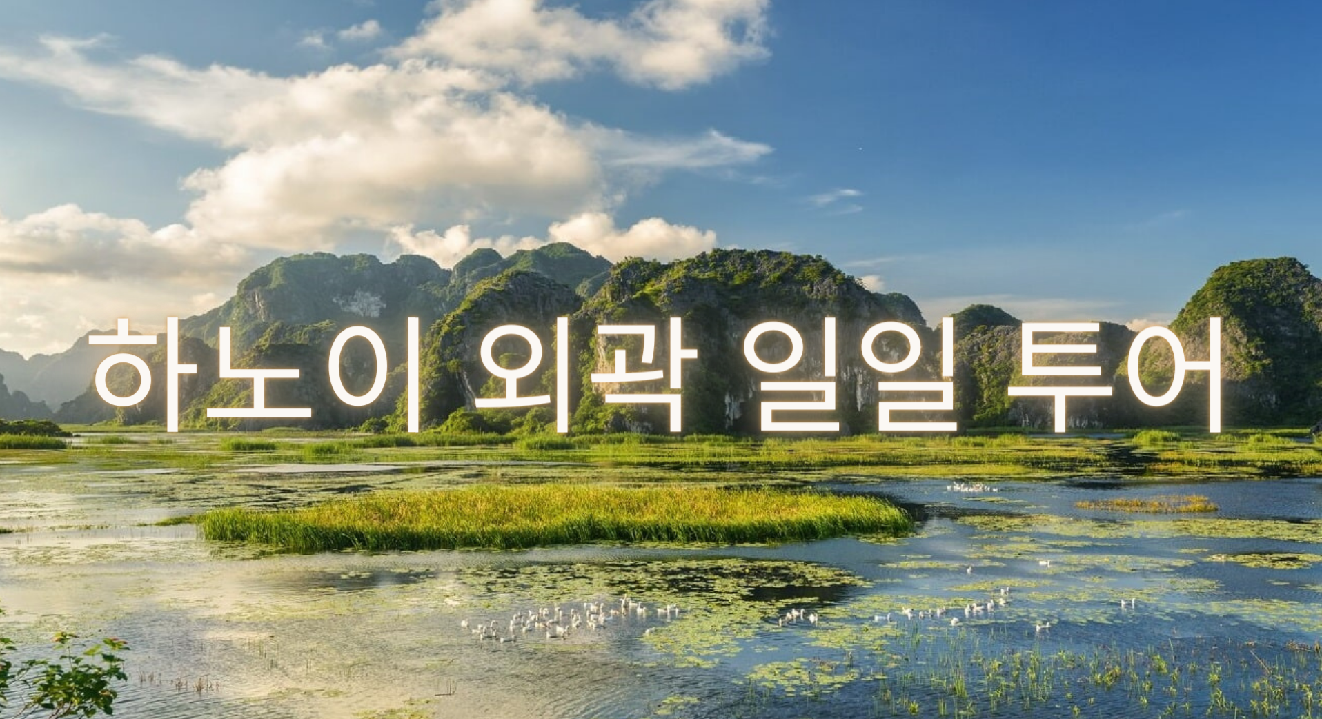 베트남 하노이 외곽 프라이빗 일일 투어 | 향 마을 + 호아루 고대 수도 + 반롱(Vân Long) 습지 자연보호구역 | 닌빈 + 점심 포함 + 한국어 가이드 - 메인 이미지