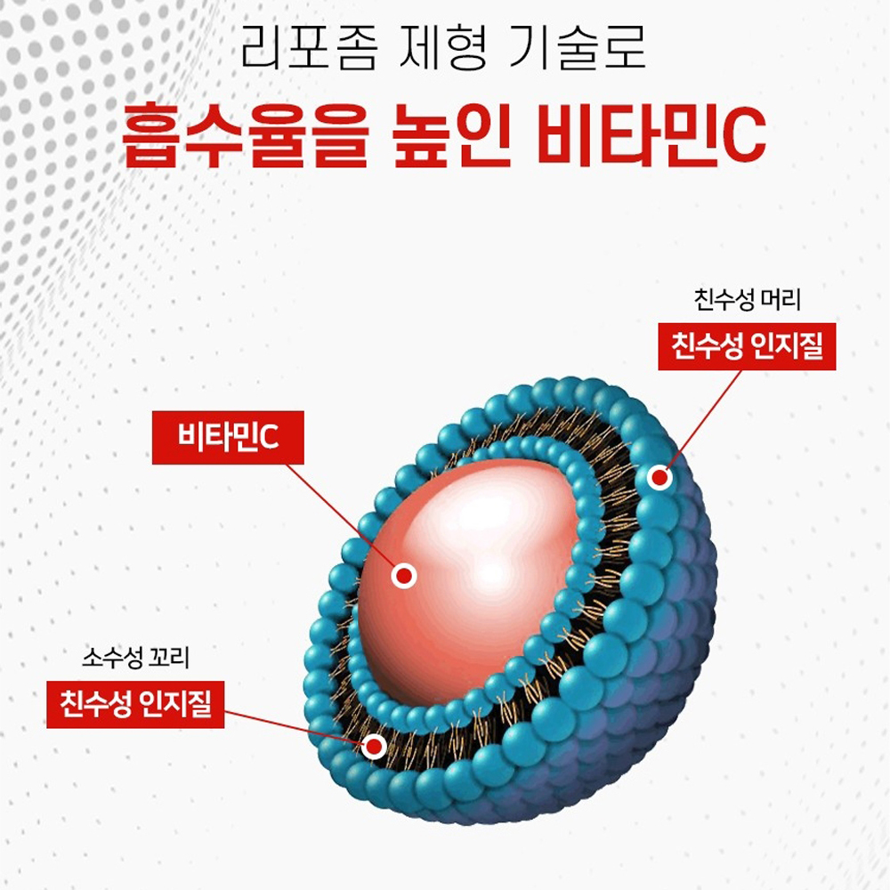 레드오렌지 당귤추출물 정 모링가잎추출 분말 먹는 레티놀 모로오렌지 효능 피부보습 건강 이미지 6