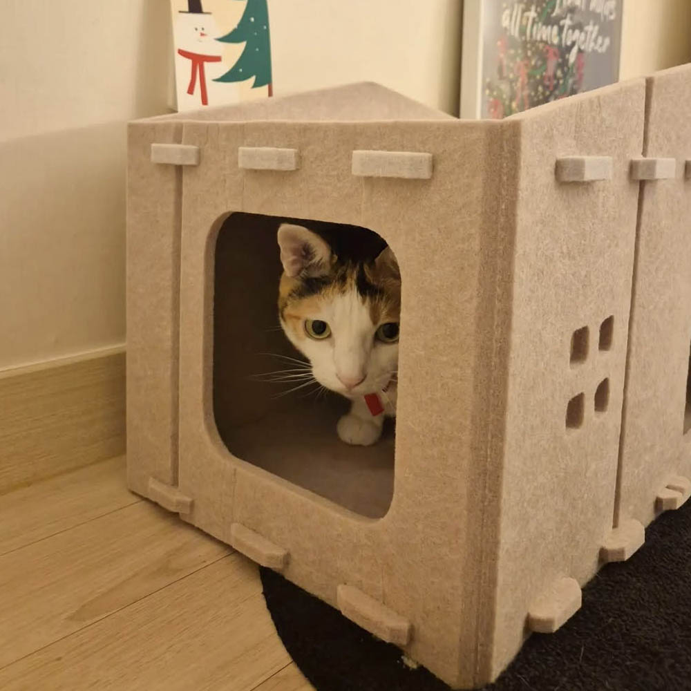 랩캣 고양이 숨숨집 스크래쳐 펠트 하우스