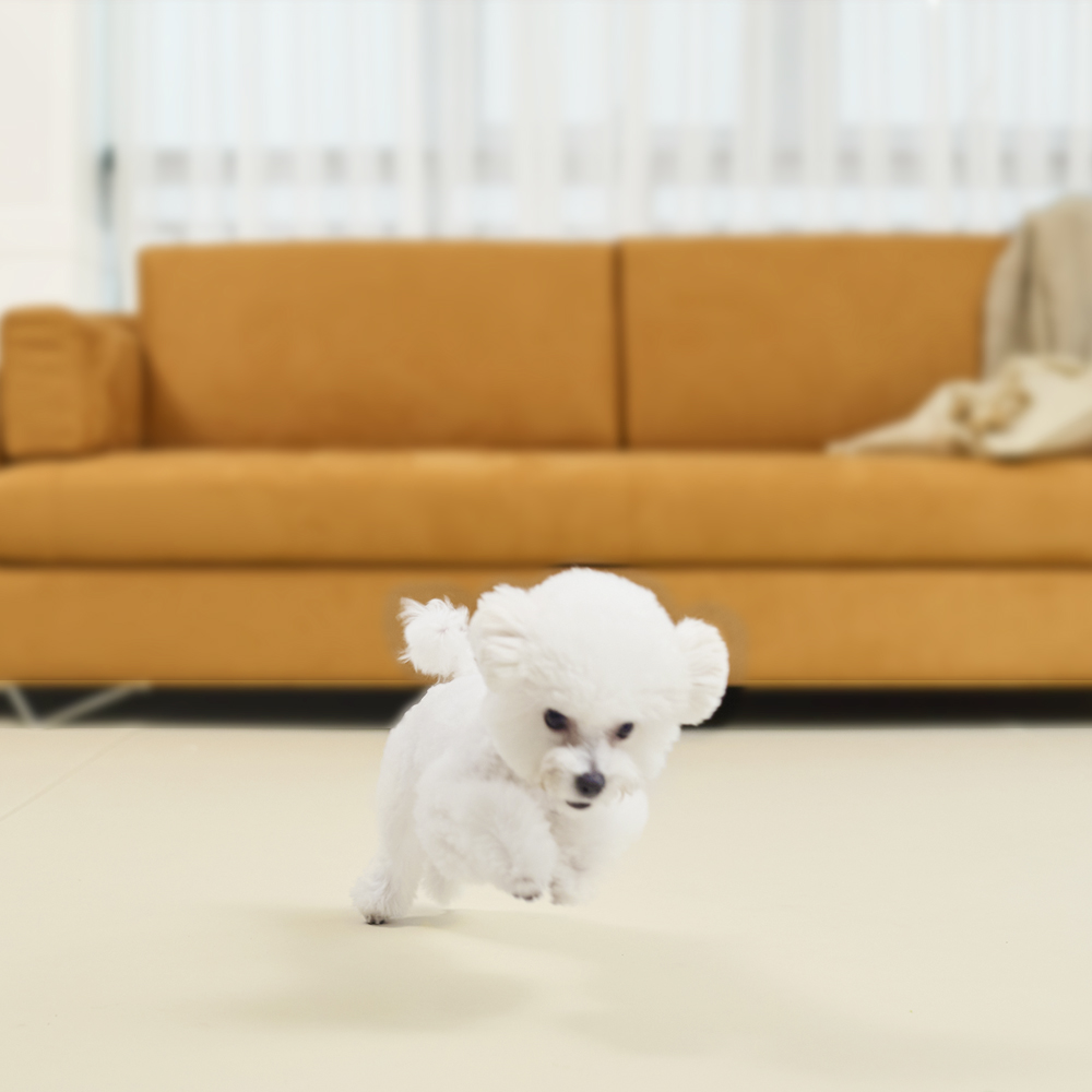 피치트렌디 친환경 실리콘 강아지매트 미끄럼방지 논슬립 애견 반려견 펫 롤매트