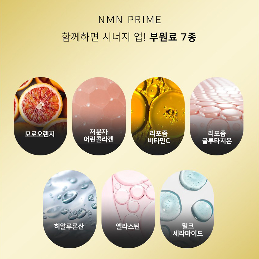 MNM 활성산소 NAD 레스베라트롤 아피제닌 NMM MNN 이미지 7