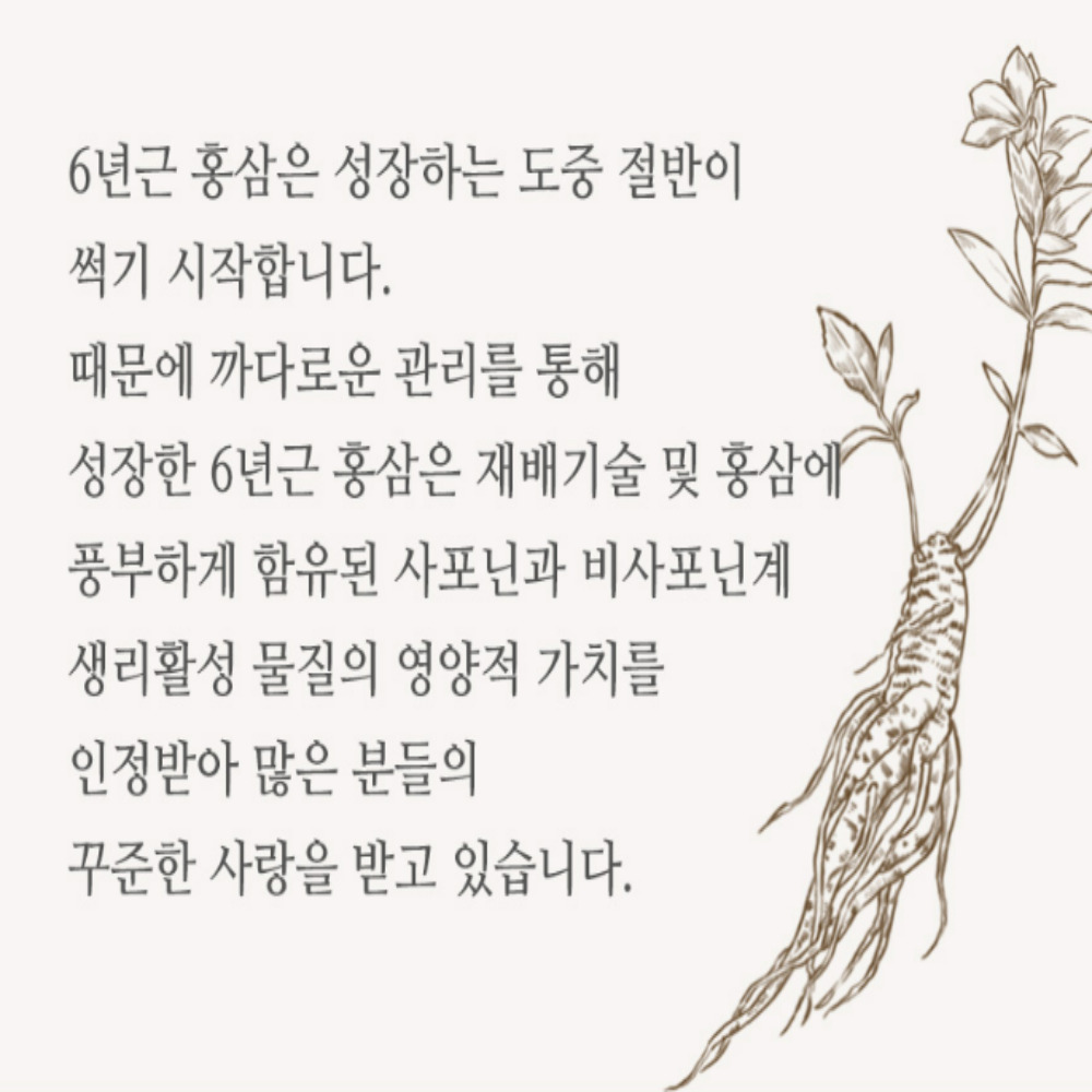 6년근 고려 홍삼진액 엑기스 농축액 500gx2병 홍삼선물세트 - 상세 이미지 5