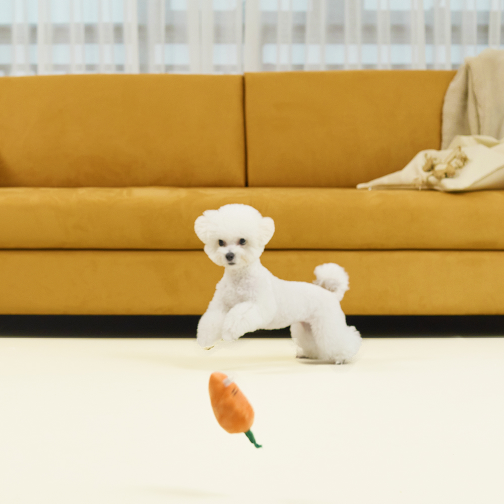 피치트렌디 친환경 실리콘 강아지매트 미끄럼방지 논슬립 애견 반려견 펫 롤매트