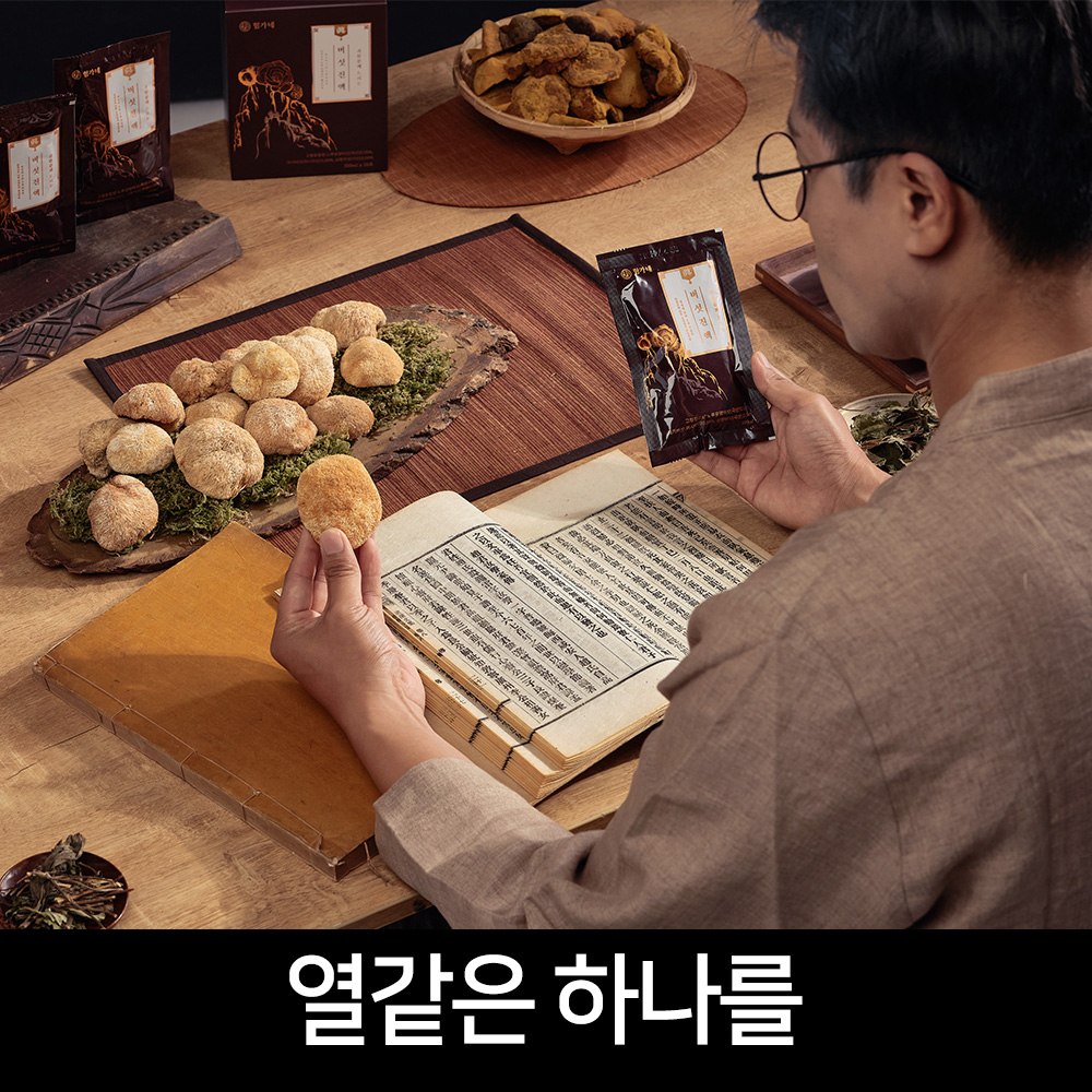 차가버섯차 상황버섯 진액 건강 관리 차가버섯 효능 상황버섯 후기
