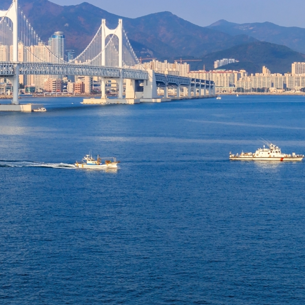 흥국쌀 홍미쌀 훙국미 찰홍미 적미 붉은 색깔 누룩곰팡이 바비조아 이미지 8