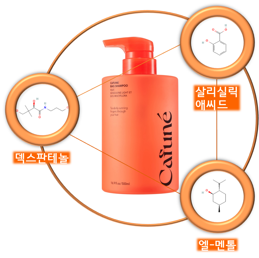 카푸네 헤어케어&바디케어 샴푸+바디워시 세트 비듬 각질 가려움 탈모 머릿결 볼륨  지루성 민감성 온가족 포뮬러 저자극 이미지 4