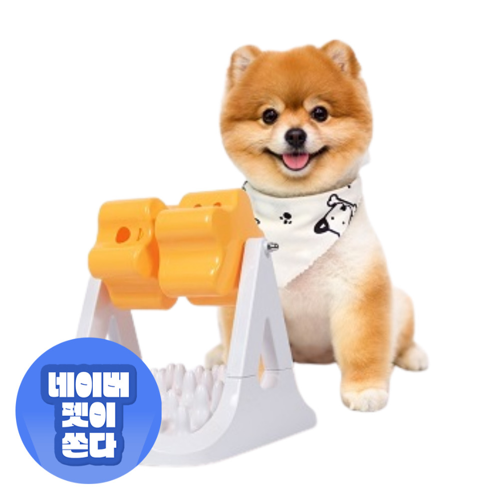 펫트너스 별별 강아지 노즈워크 장난감 분리불안 훈련 인형 움직이는 공 볼