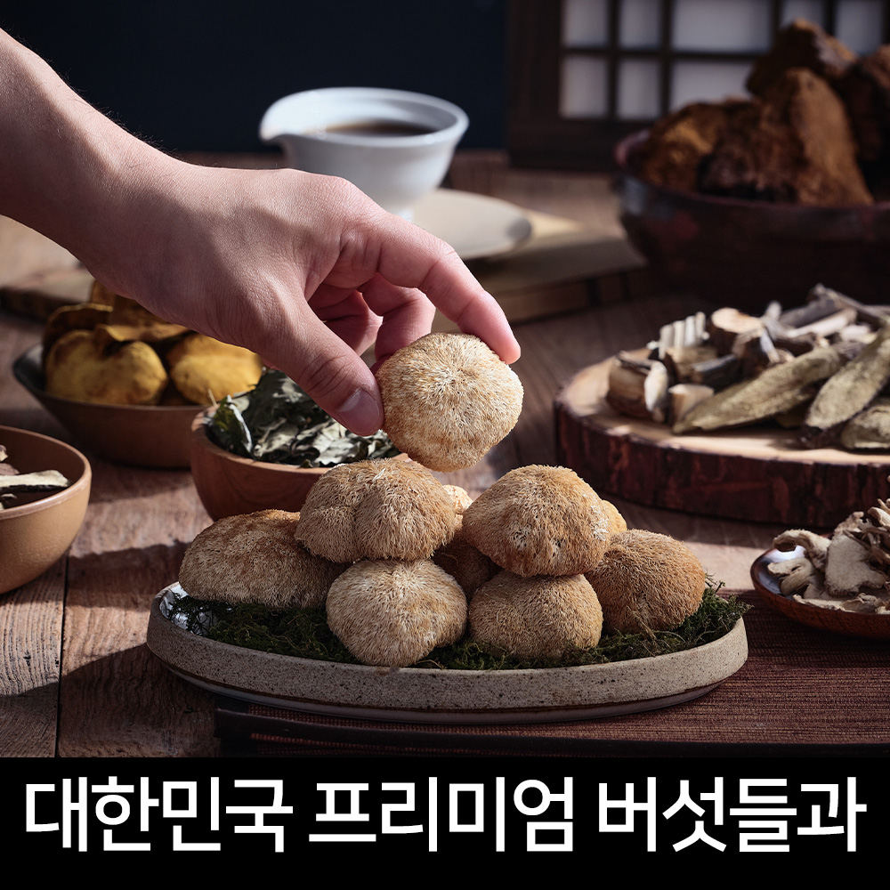 차가버섯차 상황버섯 진액 건강 관리 차가버섯 효능 상황버섯 후기