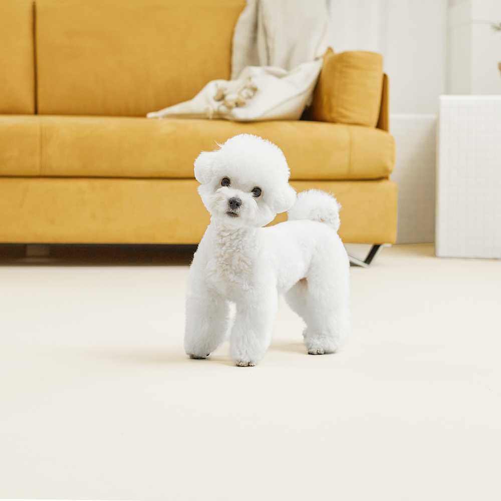 피치트렌디 친환경 실리콘 강아지매트 미끄럼방지 논슬립 애견 반려견 펫 롤매트