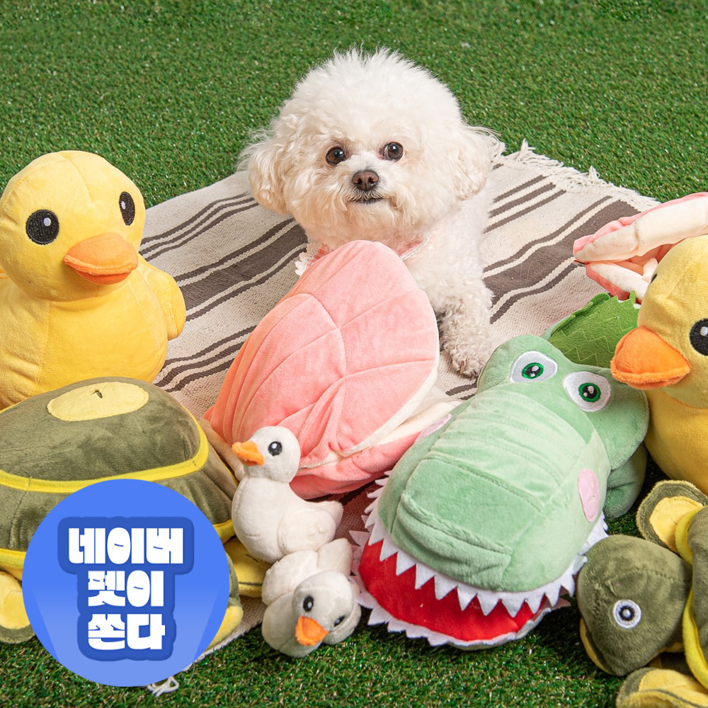 펫트너스 동물농장 강아지 노즈워크 장난감 분리불안 훈련