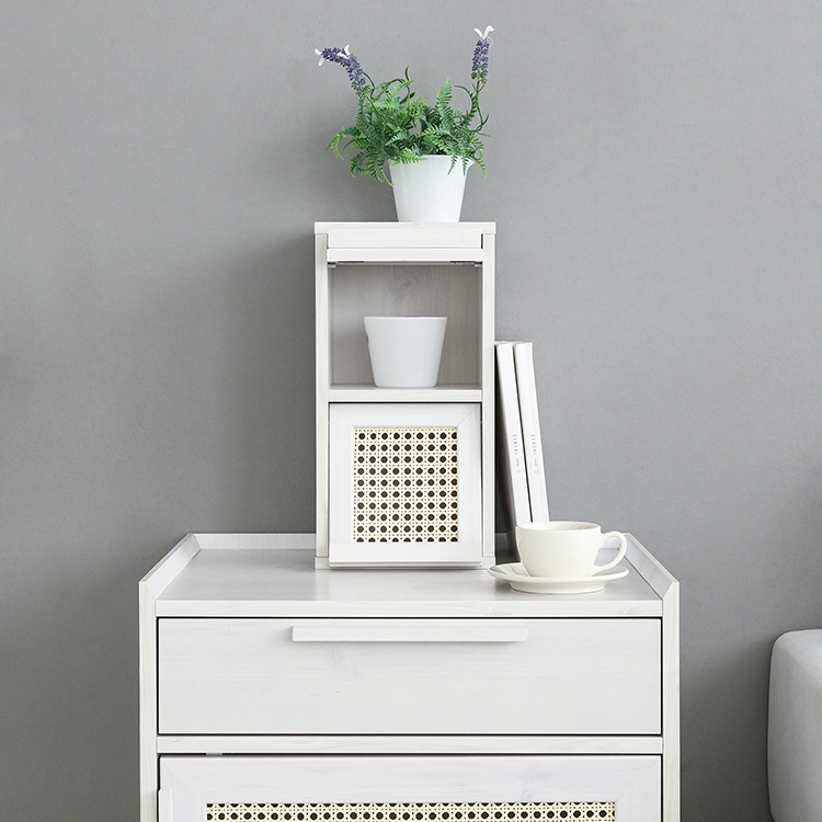 벤탄 미니수납장 2문 NFM4221RT 세로형 220x200x420mm, 2단, 캄포어베니어 3791.9474 - 상세 이미지 3