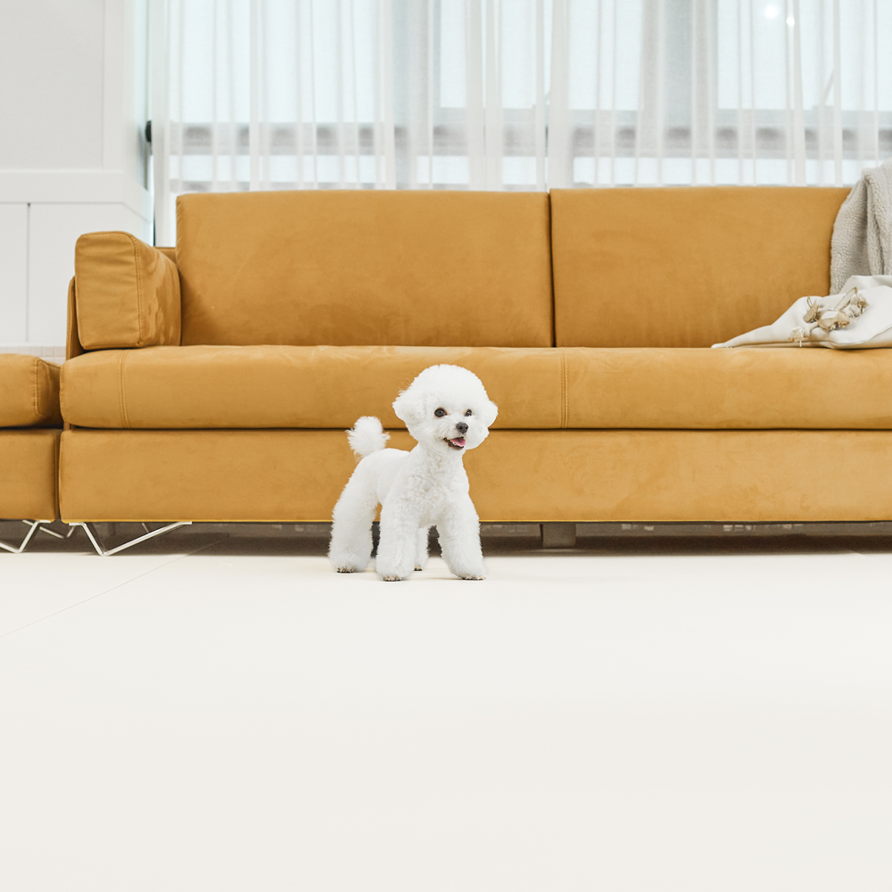 피치트렌디 친환경 실리콘 강아지매트 미끄럼방지 논슬립 애견 반려견 펫 롤매트