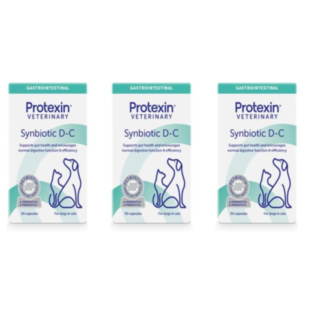 프로텍신 신바이오틱 DC 반려견 반려묘 유산균 50캡슐 3개 솔직 후기 | 실제 사용자 리뷰 총정리 - 대표 이미지