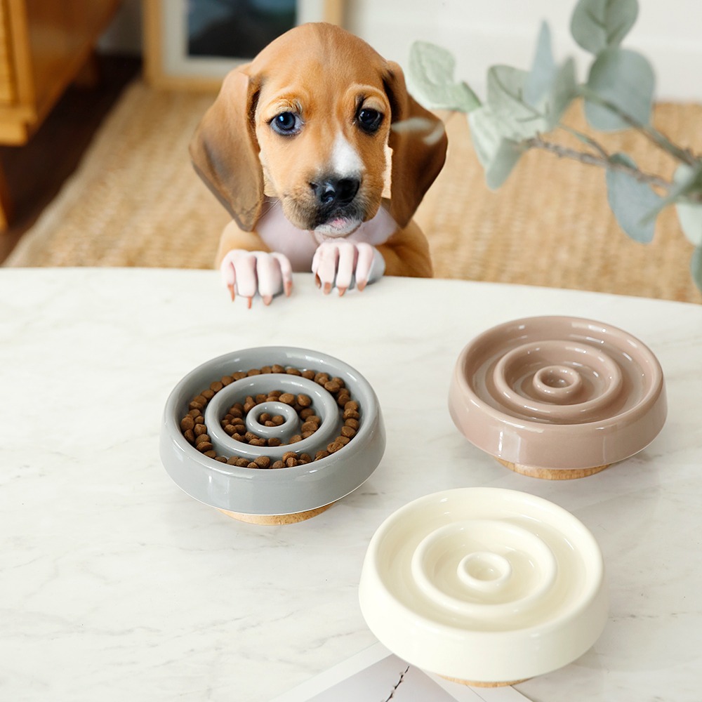 건강한 식습관 빙글빙글 슬로우 애완식기