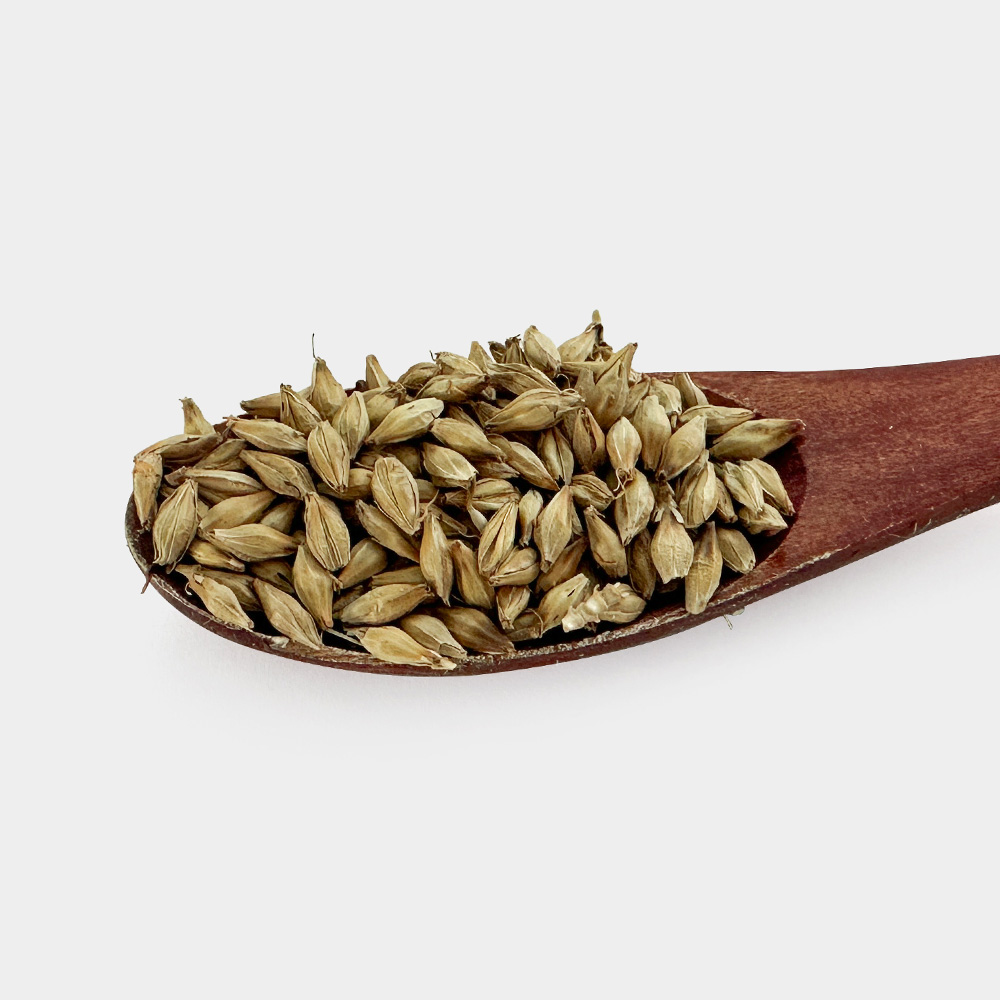 국산 볶은 싹틘 맥아 1kg - 상세 이미지 4