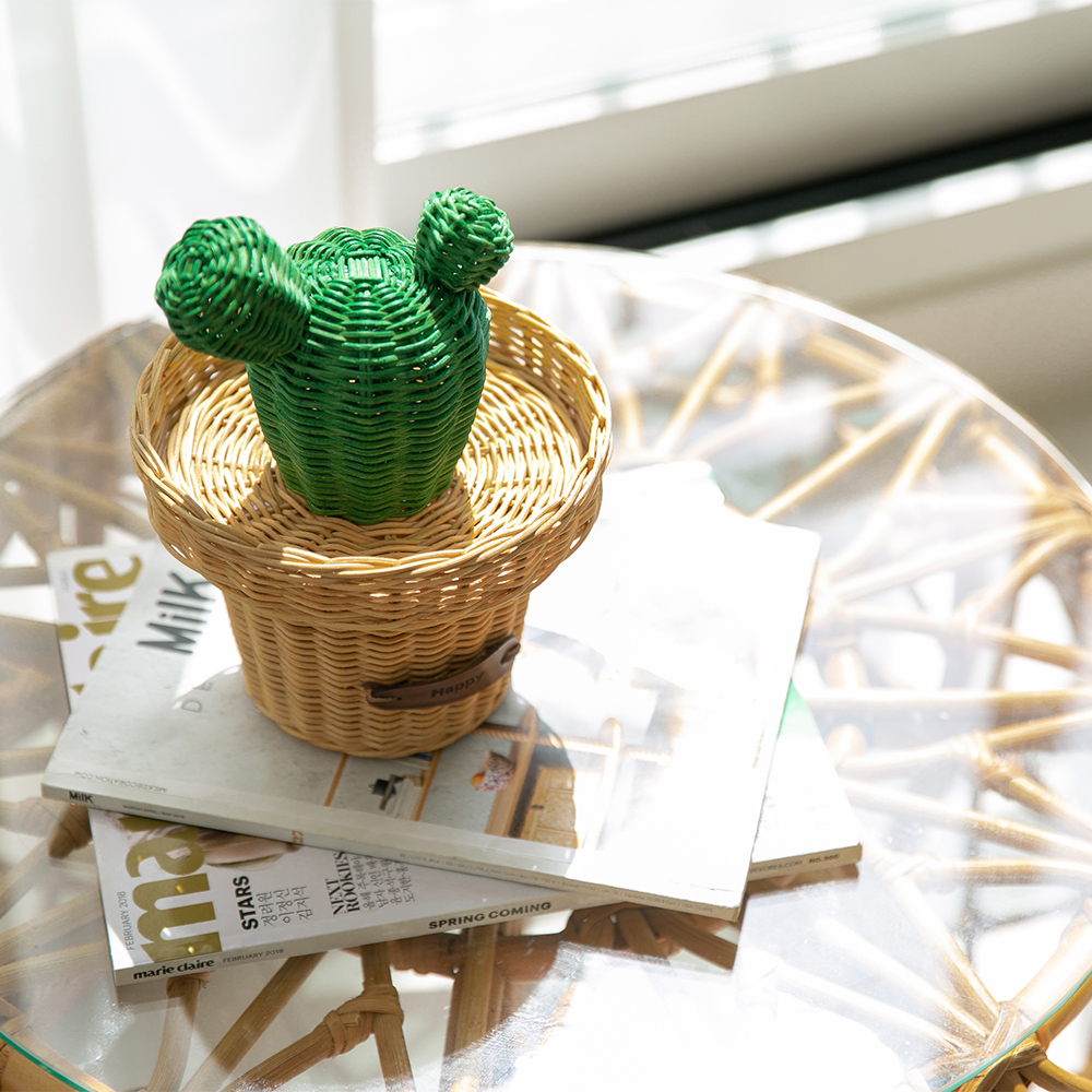 라탄 선인장화분 수납함 카페 촬영 인테리어 소품함 사탕바구니 커피캡슐