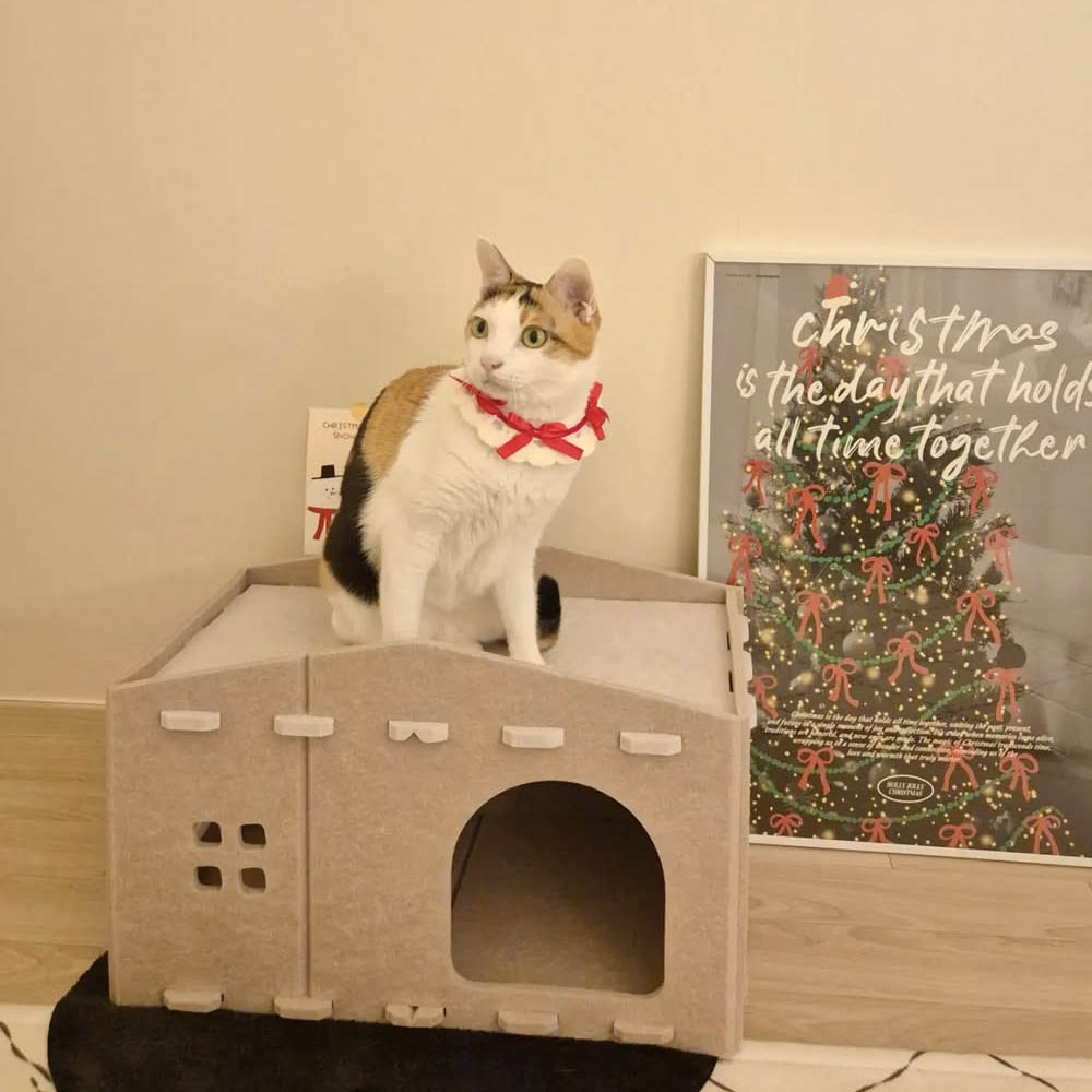 랩캣 고양이 숨숨집 스크래쳐 펠트 하우스