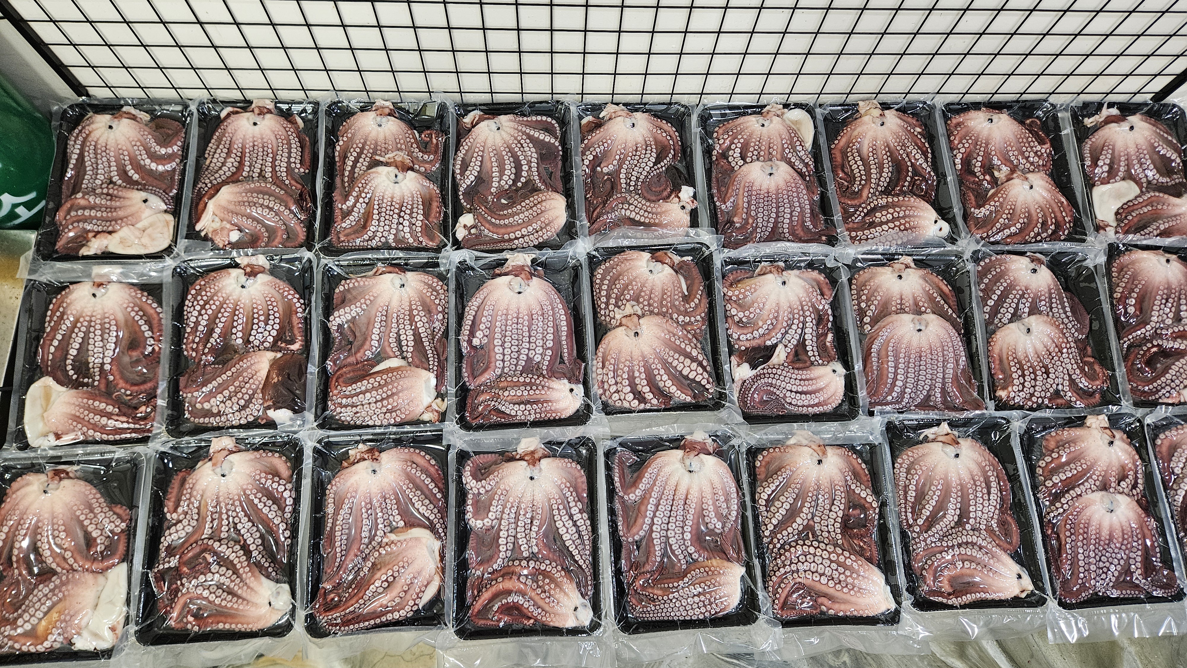 동해 삼척 피문어 도시락 대문어 숙회 자숙 문어 1kg 이미지 7