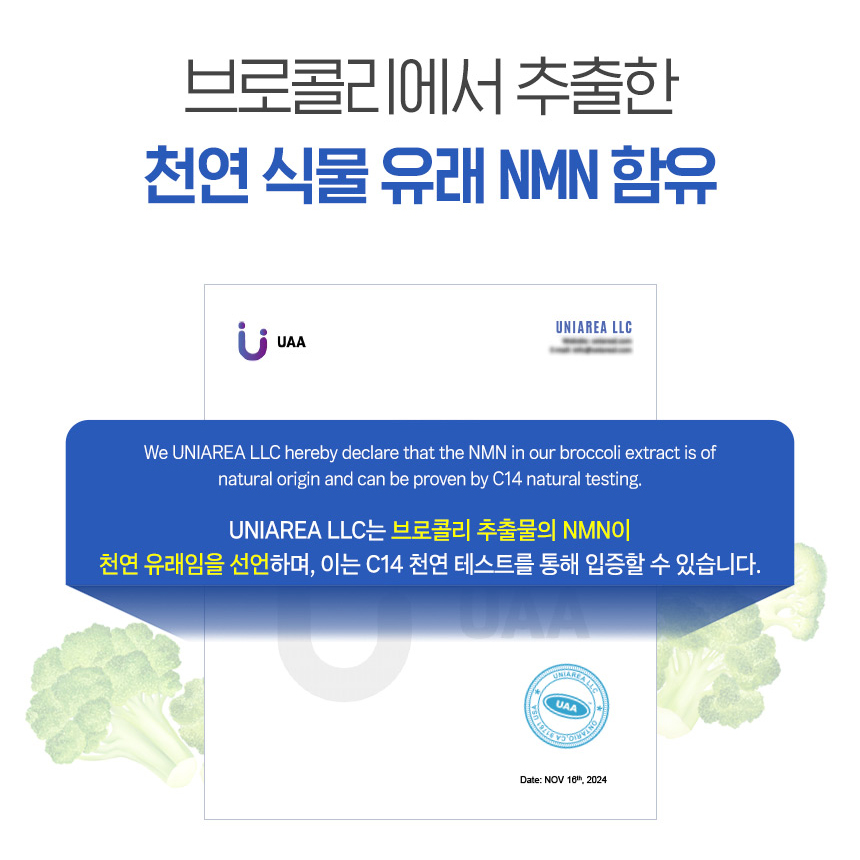식물성 NMN 엔앰엔 브로콜리 추출물 40% 천연 아미노산 베타인 정 효능 3개 이미지 7