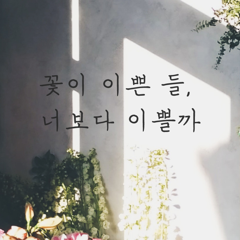 감성 손글씨 레터링 스티커 꽃이 이쁜 들 너보다 이쁠까 검정S 이미지 8