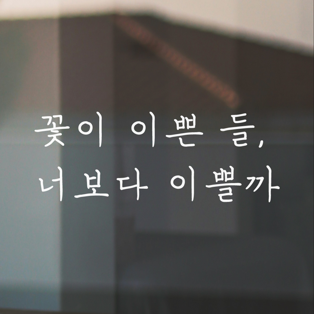 감성 손글씨 레터링 스티커 꽃이 이쁜 들 너보다 이쁠까 검정S - 상세 이미지 2