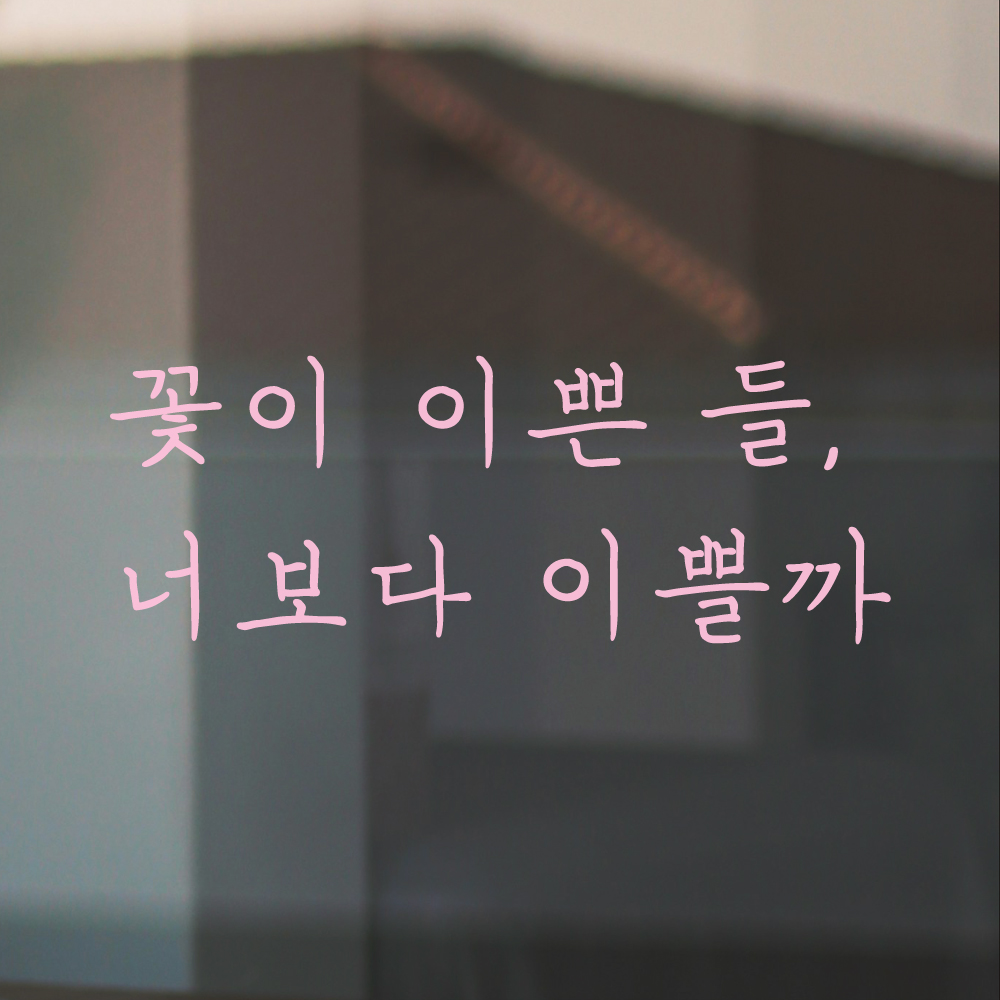 감성 손글씨 레터링 스티커 꽃이 이쁜 들 너보다 이쁠까 검정S - 상세 이미지 2