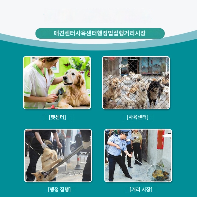 유기견 포획망 구조 그물망 야생 동물 뜰채 고양이 강아지 - 상세 이미지 5