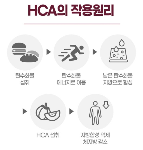 다이어트 커피 수용성 가르시니아 캄보지아 추출물 750mg 슬림 카페 체지방 내장지방분해 이미지 6