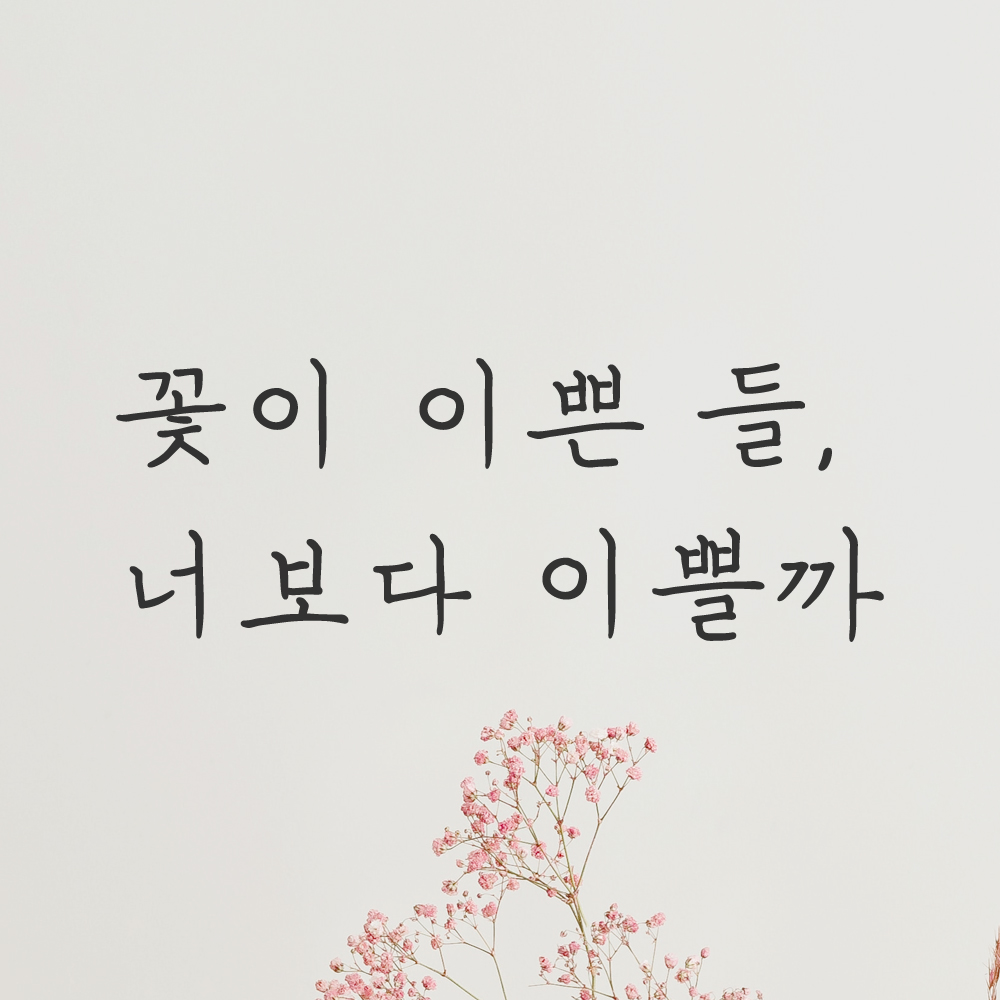 감성 손글씨 레터링 스티커 꽃이 이쁜 들 너보다 이쁠까 검정S - 상품 이미지