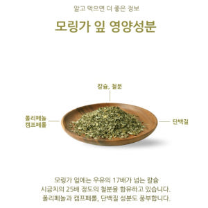 모링가잎 300g 모닝가 모링가 효능 모랑가 모린가 파우더 효과 맛있게 먹은 솔직 후기 - 상품 이미지 3