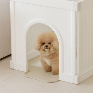 텍미홈 강아지화장실 펫 토일렛 발도장방지 배변훈련 솔직 후기 | 실제 사용자 리뷰 총정리 - 상품 이미지 3