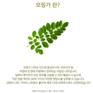 모링가잎 300g 모닝가 모링가 효능 모랑가 모린가 파우더 효과 맛있게 먹은 솔직 후기 - 상품 이미지 4