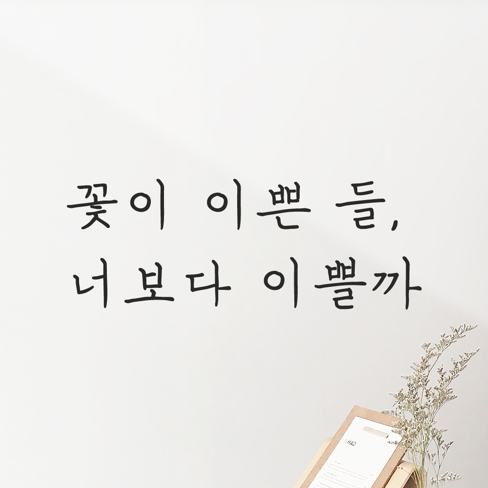 감성 손글씨 레터링 스티커 꽃이 이쁜 들 너보다 이쁠까 검정S 이미지 7
