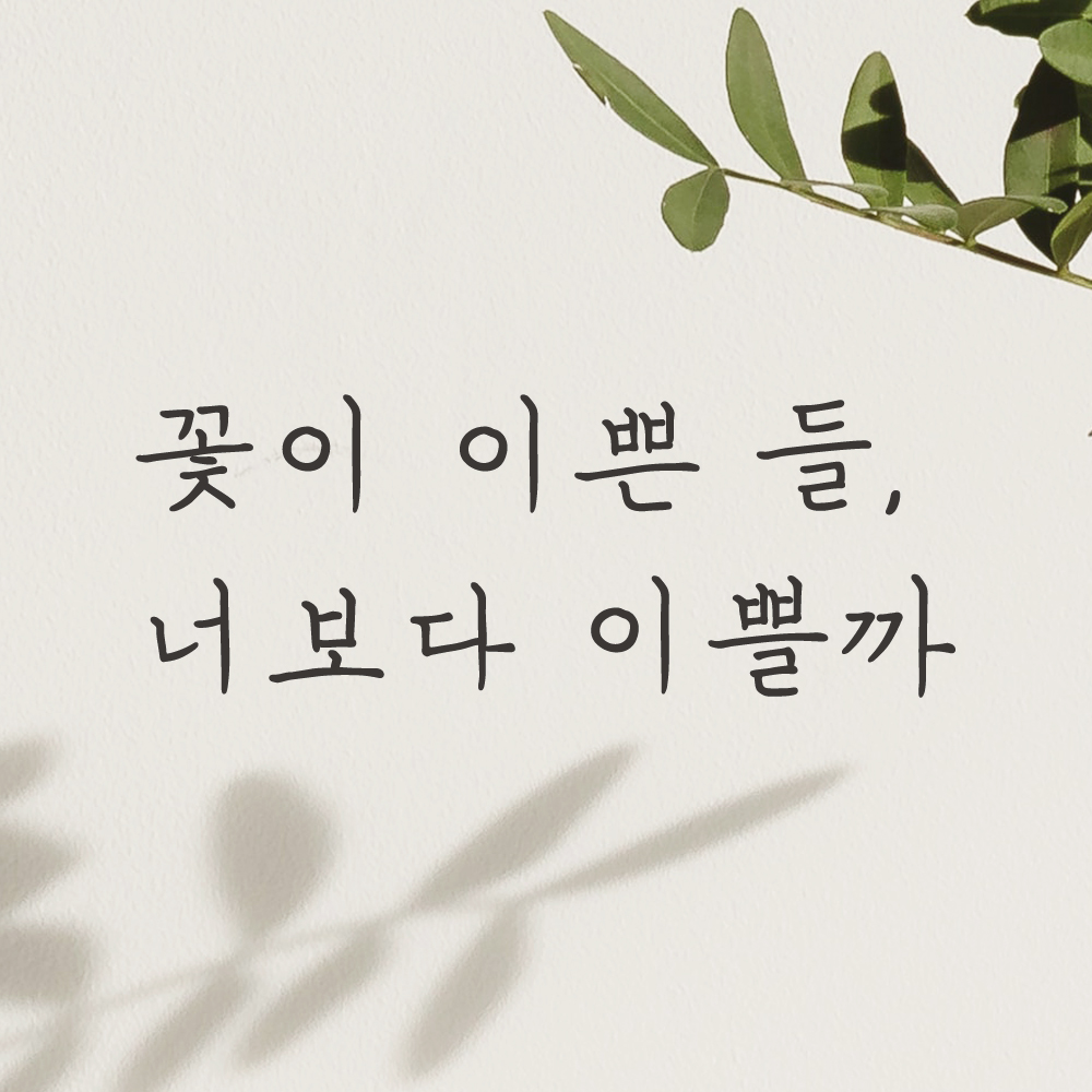 감성 손글씨 레터링 스티커 꽃이 이쁜 들 너보다 이쁠까 검정S - 상세 이미지 4