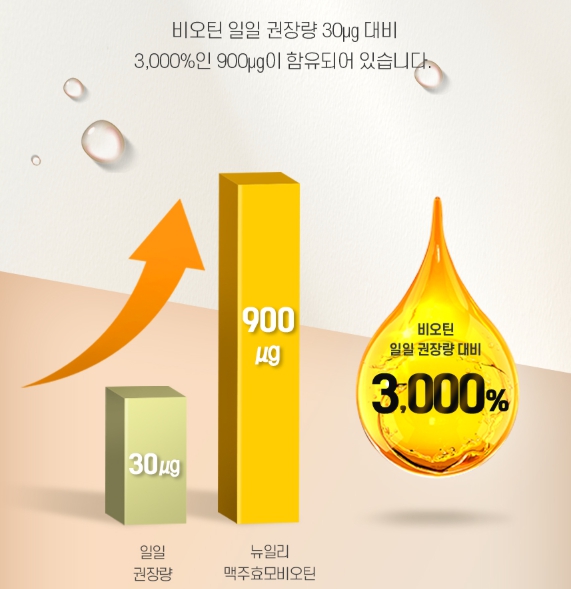 건조맥주효모 비오틴 정 고함량 식약처 haccp 인정 효능 효과 리투아니아 유산균 이미지 7